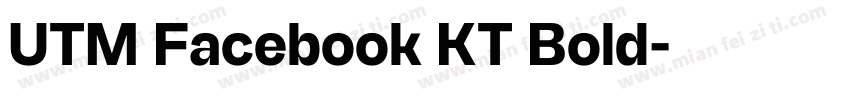 UTM Facebook KT Bold字体转换